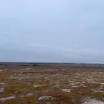 I Salttjern * Vadsø